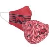 Katydid Game Day Collection University Of Arkansas UA Licensed Collegiate Face Mask